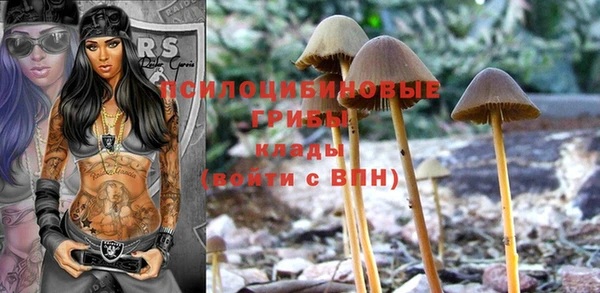 каннабис Куйбышев