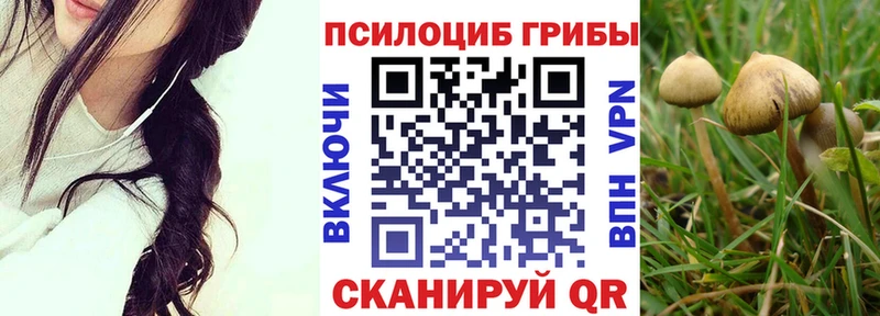 hydra ONION  Чегем  Псилоцибиновые грибы ЛСД 